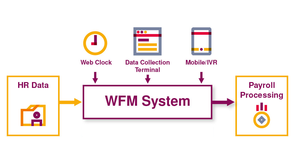 Optimise workforce planning with SuccessFactors Time